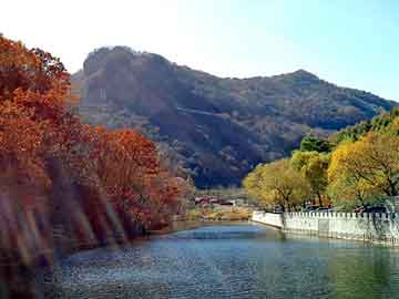 澳门精准正版免费大全14年新，电子飞碟